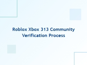 Roblox Xbox 313 Community Verification Process